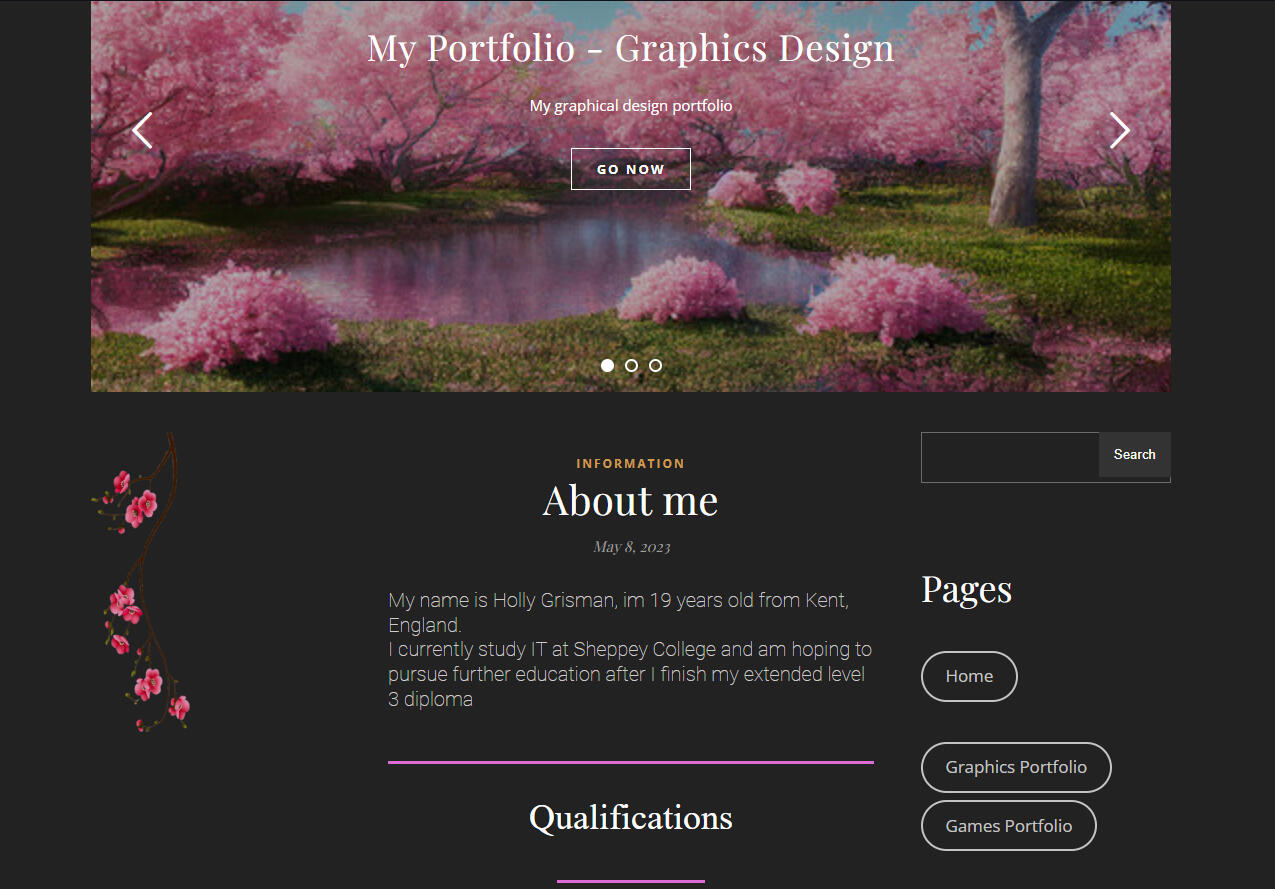 Introduction page from old portfolio