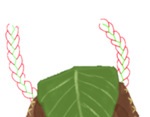 Learning drawing braids